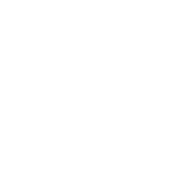 Paradiso CrossFit Venice logo